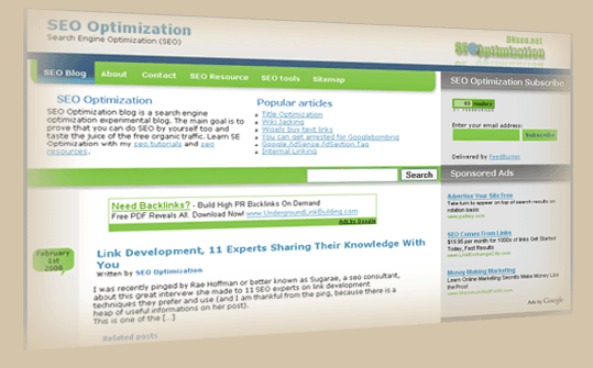 DNseo.net Website Design and Coding
