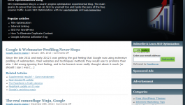 dnseo.net